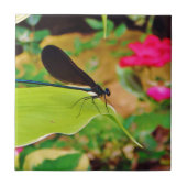 Damselfly und Rose Fliese (Vorderseite)