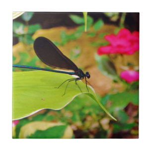 Damselfly und Rose Fliese