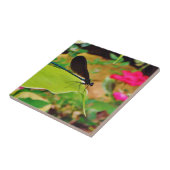 Damselfly und Rose Fliese (Seite)