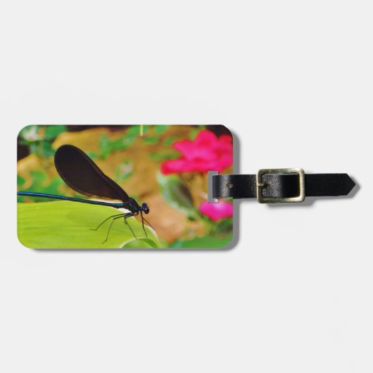 Damselfly und Rose Gepäckanhänger (Vorderseite horizontal)