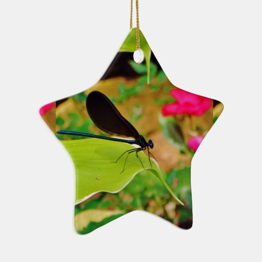 Damselfly und Rose Keramik Ornament (Rechts)