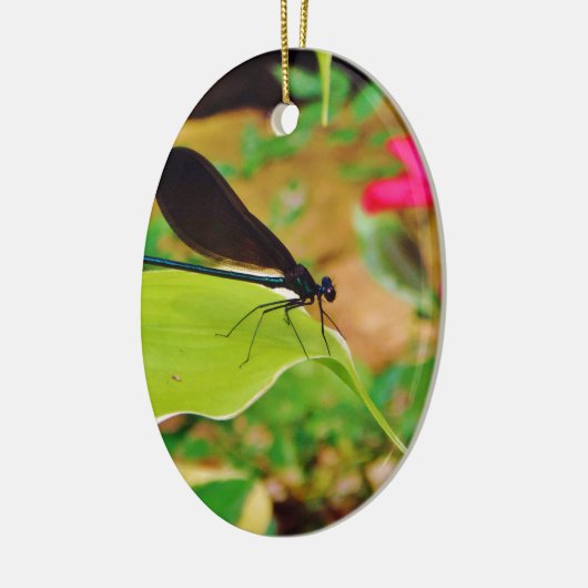 Damselfly und Rose Keramikornament (Links)