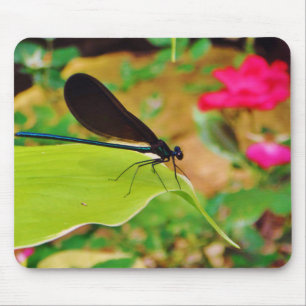 Damselfly und Rose Mousepad