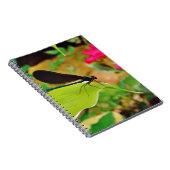 Damselfly und Rose Notizblock (Rechte Seite)