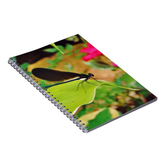 Damselfly und Rose Notizblock (Rechte Seite)
