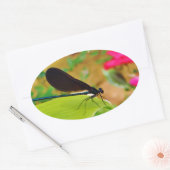 Damselfly und Rose Ovaler Aufkleber (Umschlag)