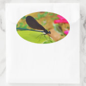 Damselfly und Rose Ovaler Aufkleber (Tasche)