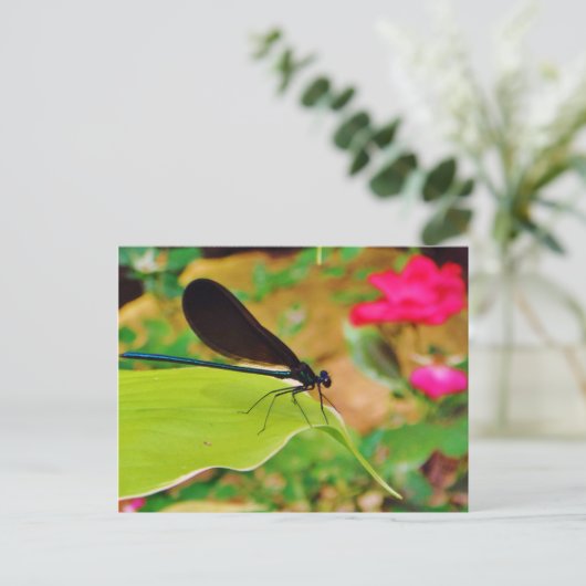 Damselfly und Rose Postkarte (Stehend Vorderseite)