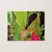 Damselfly und Rose Puzzle (Horizontal)
