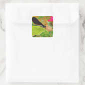 Damselfly und Rose Quadratischer Aufkleber (Tasche)