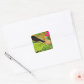 Damselfly und Rose Quadratischer Aufkleber (Umschlag)