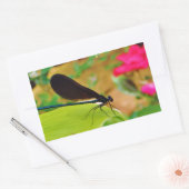 Damselfly und Rose Rechteckiger Aufkleber (Umschlag)