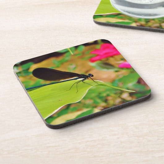 Damselfly und Rose Untersetzer (Linke Seite)