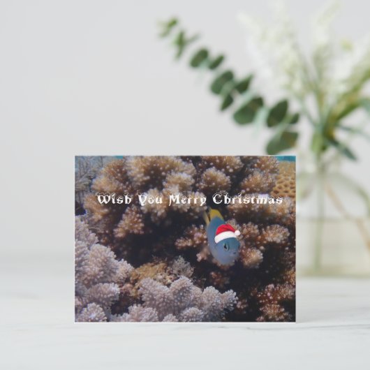 Damselus Postkarte (Stehend Vorderseite)