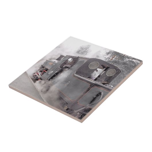 DAMTRAG FLIESE (Seite)