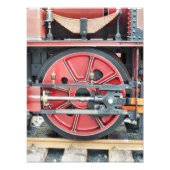 DAMTRAG FOTODRUCK (Vorne)