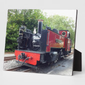 DAMTRAG FOTOPLATTE (Seite)