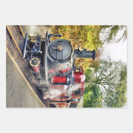 DAMTRAG GESCHENKPAPIER SET (Vorderseite 3)