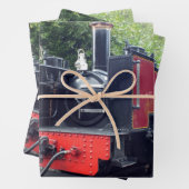 DAMTRAG GESCHENKPAPIER SET (Beispiel)