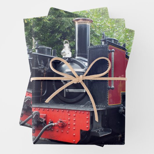 DAMTRAG GESCHENKPAPIER SET (Beispiel)