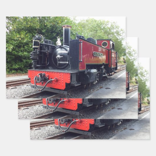 DAMTRAG GESCHENKPAPIER SET (Set)