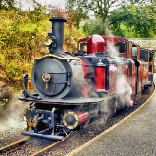 DAMTRAG LEINWANDDRUCK