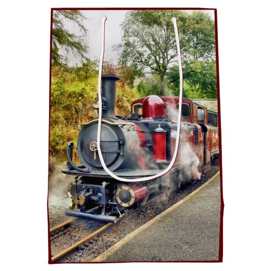 DAMTRAG MITTLERE GESCHENKTÜTE (Rückseite)