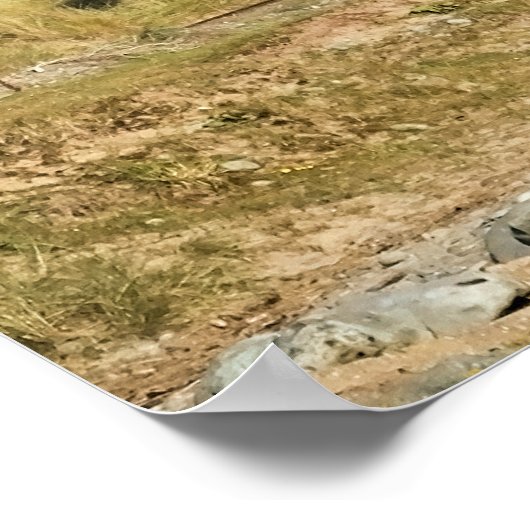 DAMTRAG POSTER (Ecke)