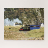 DAMTRAG PUZZLE (Horizontal)