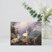 Damwild, Friedrich Gauermann, 1833 Postkarte (Stehend Vorderseite)