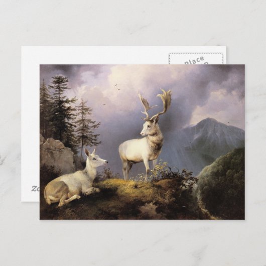 Damwild, Friedrich Gauermann, 1833 Postkarte (Vorne/Hinten)