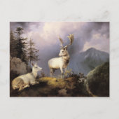 Damwild, Friedrich Gauermann, 1833 Postkarte (Vorderseite)