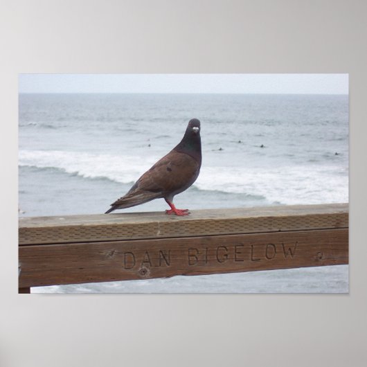 Dan Bigelow Poster (Vorne)