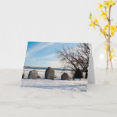 Dan Fogelberg-Gedenkstätte in der Winterkarte Karte (Gelbe Blume)