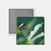 Dana Magnet (Vorderseite/Rückseite)