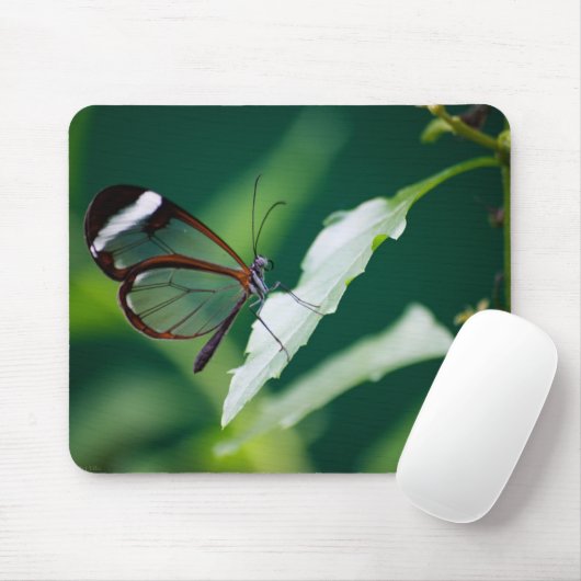 Dana Mousepad (Mit Mouse)