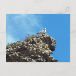 DANA POINT #3 POSTCARD POSTKARTE