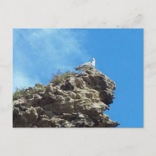 DANA POINT #3 POSTCARD POSTKARTE