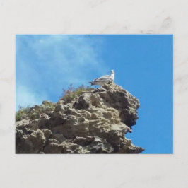 DANA POINT #3 POSTCARD POSTKARTE