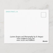 DANA POINT 4 #4 Postkarte (Rückseite)