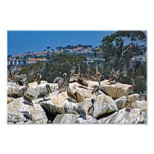 Dana Point Fotodruck