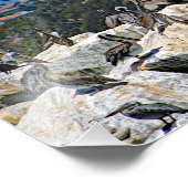 Dana Point Fotodruck (Ecke)