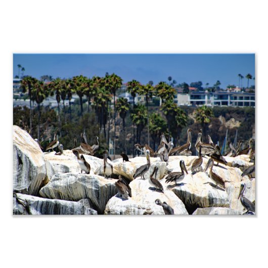 Dana Point Fotodruck (Vorne)