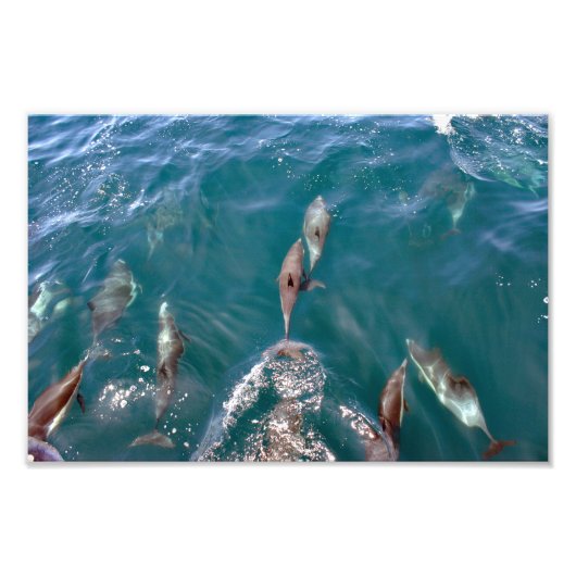 Dana Point Fotodruck (Vorne)