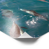 Dana Point Fotodruck (Ecke)
