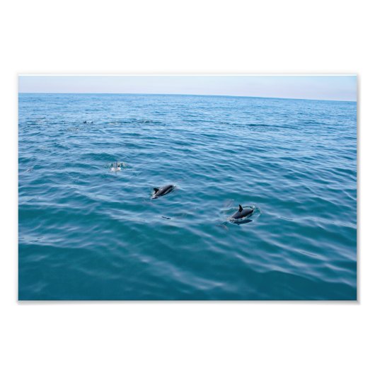 Dana Point Fotodruck (Vorne)