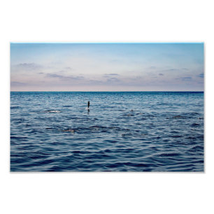 Dana Point Fotodruck