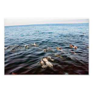 Dana Point Fotodruck