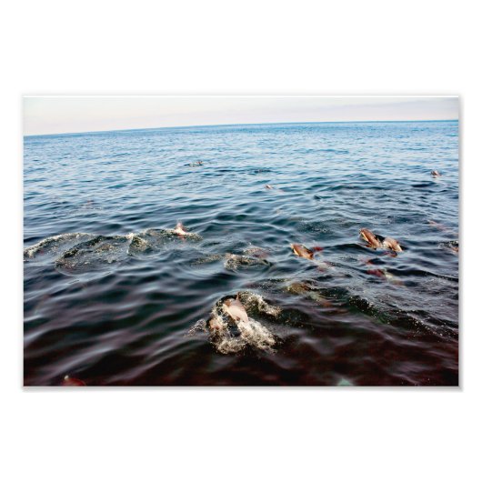 Dana Point Fotodruck (Vorne)