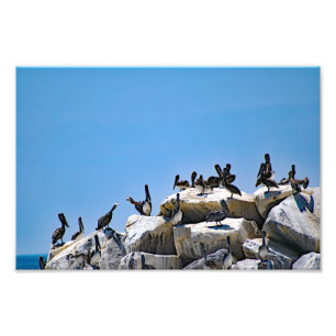 Dana Point Fotodruck